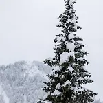 Boutique Skipass Superior