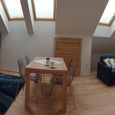 酒店 Boutique Skipass Superior 克拉尼斯卡戈拉