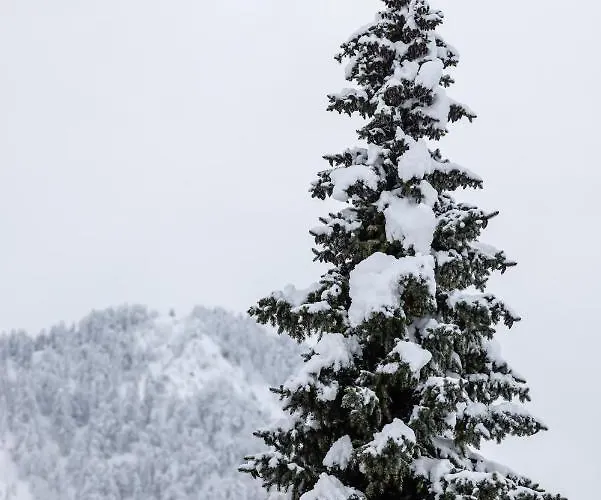 Boutique Skipass Superior