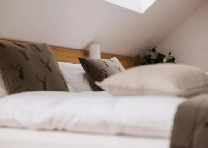 Boutique Skipass Superior מלון 4*